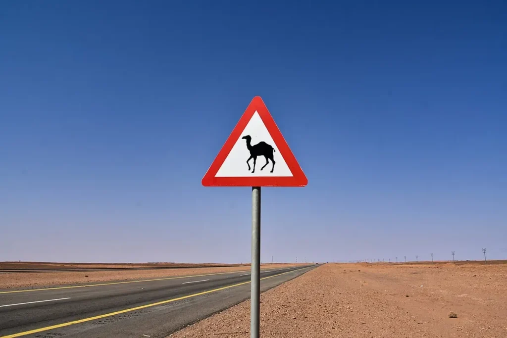 Camel crossing warning sign beside an empty desert highway in north western Saudi Arabia (not on the Makkah to Madinah road)