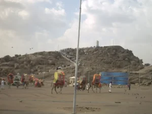 Jabal al-Rahmah from the plain of Arafat, the summit pillar visible and decorated camels at the foot