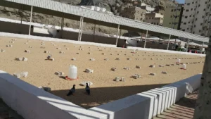 Rows of simple unmarked graves inside Jannat al-Mualla cemetery in Makkah, with a shaded walkway