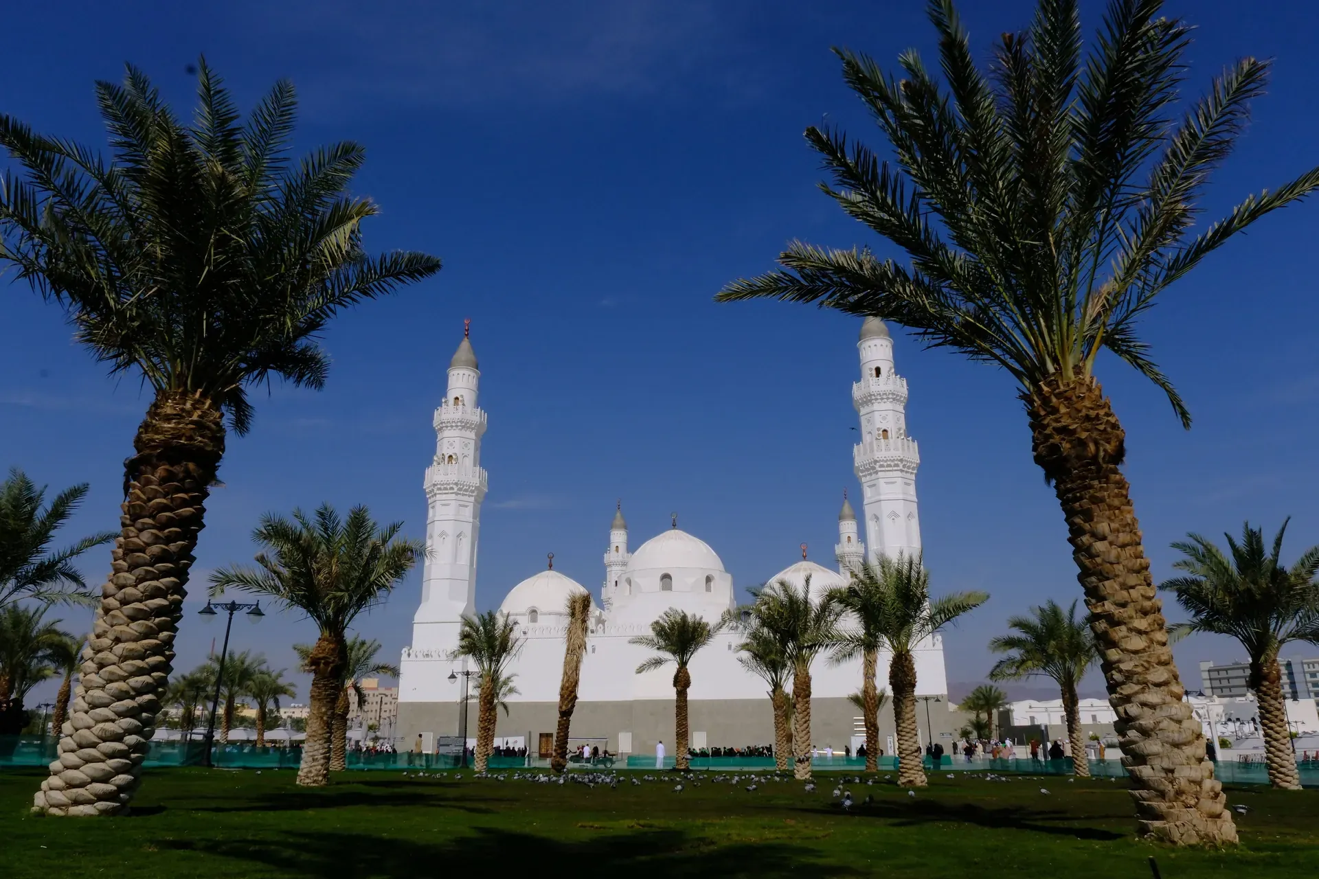 Masjid Quba in Madinah, white domes and minarets framed by date palms on a clear day